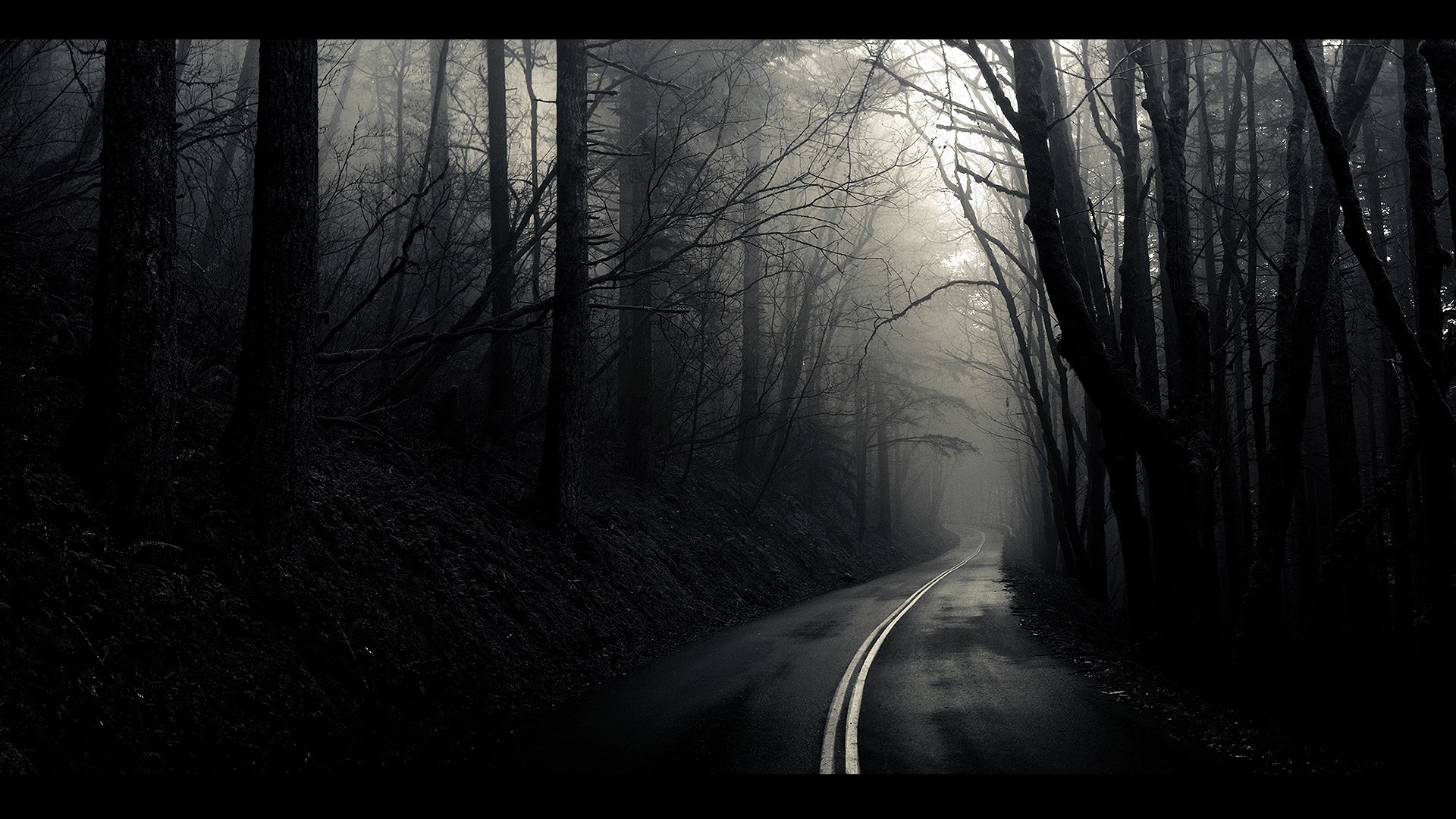 black, And, White, Landscapes, Trees, Fog, Mist, The, Mist, Roads, Monochrome, Path Wallpaper