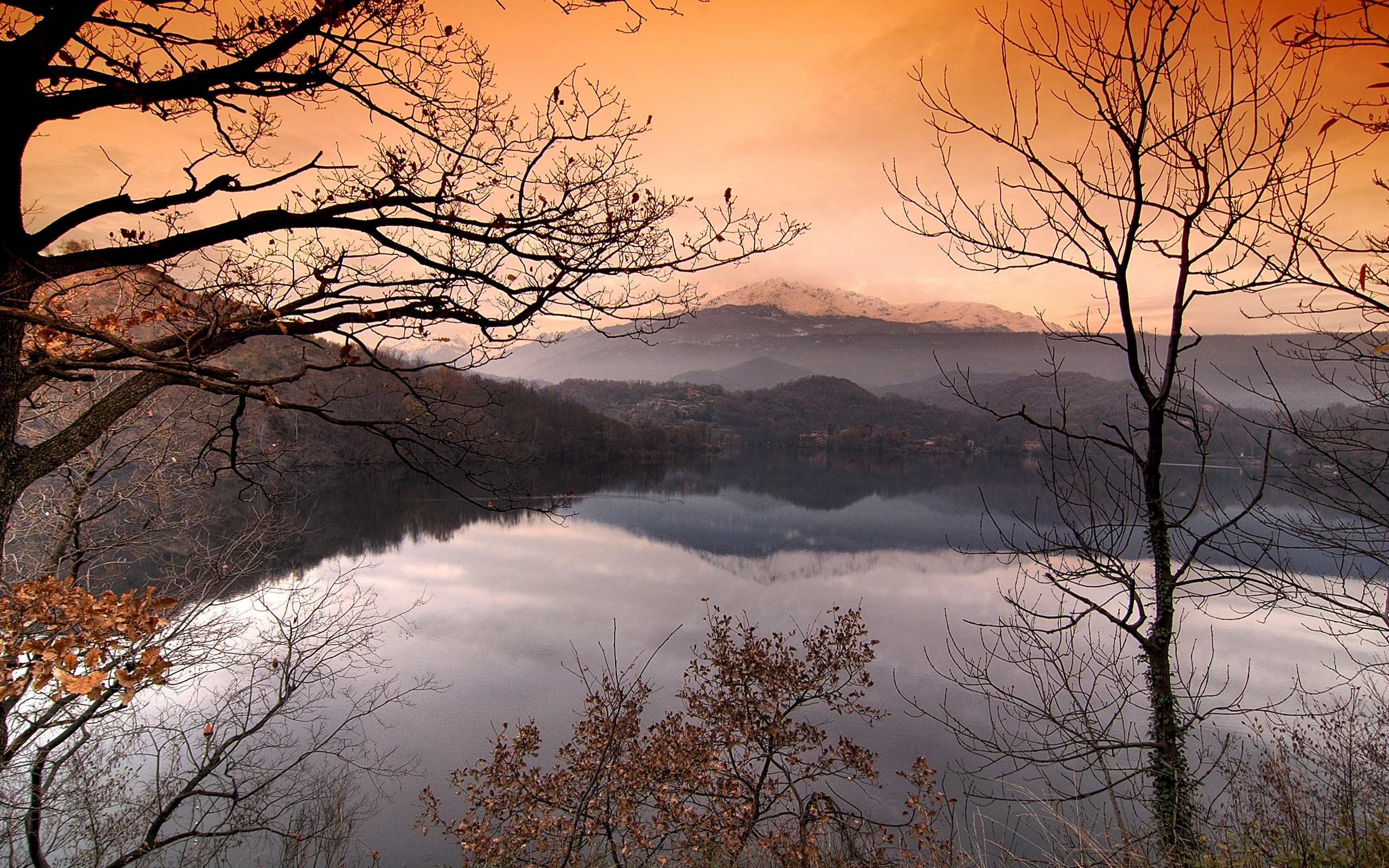 nature Wallpaper