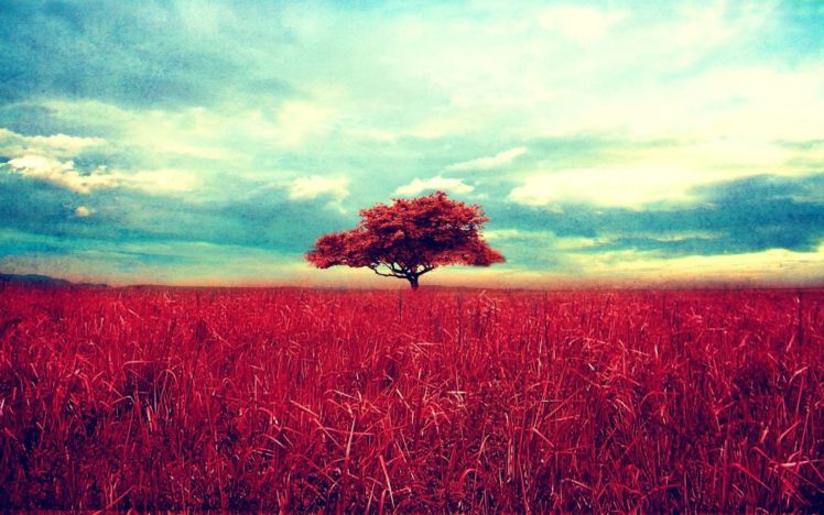 nature, Trees, Red, Fields, Photo, Manipulation HD Wallpaper Desktop Background