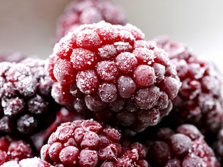 frozen, Raspberries HD Wallpaper Desktop Background