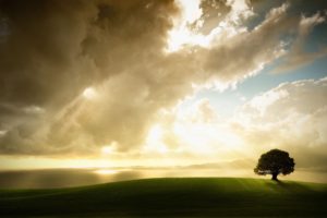 sunset, Clouds, Landscapes, Nature, Trees, Fields, Sunlight
