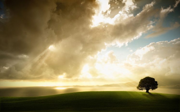 sunset, Clouds, Landscapes, Nature, Trees, Fields, Sunlight HD Wallpaper Desktop Background