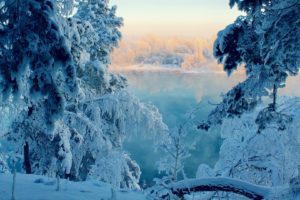 landscapes, Nature, Winter, Snow, Trees, Frozen