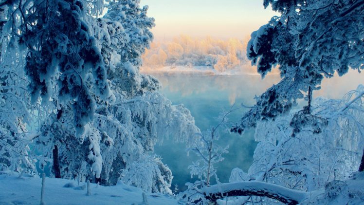 landscapes, Nature, Winter, Snow, Trees, Frozen HD Wallpaper Desktop Background