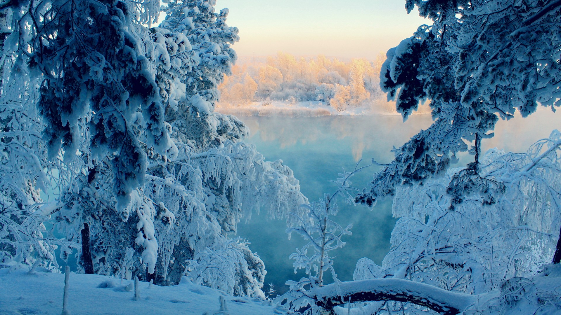 landscapes, Nature, Winter, Snow, Trees, Frozen Wallpaper