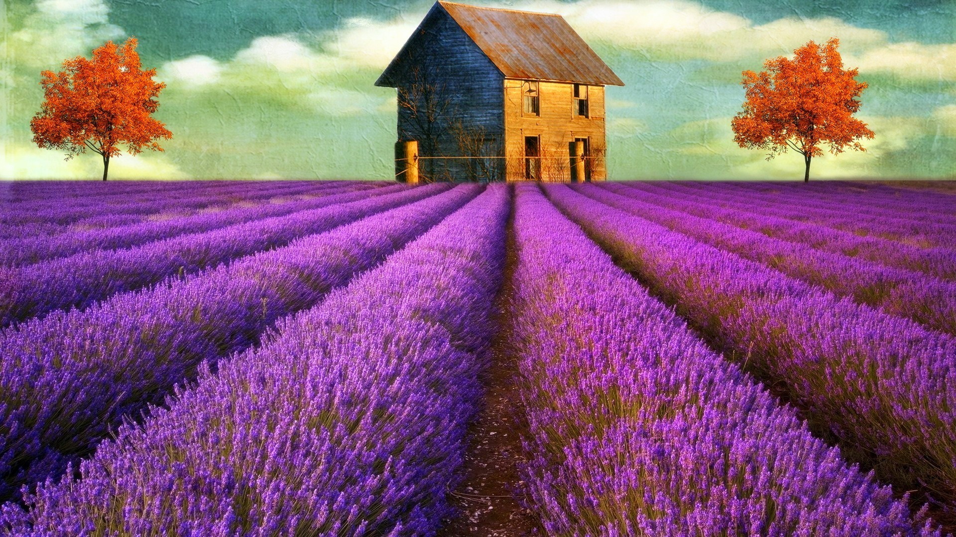 fields, Digital, Art, Lavender, Old, House Wallpaper