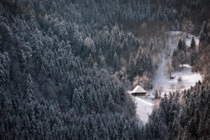winter,  season , Snow, White, Forest, Houses, Nordic