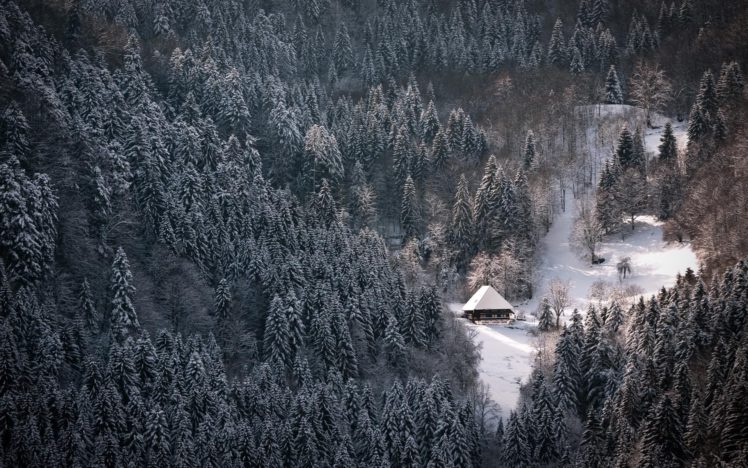 winter,  season , Snow, White, Forest, Houses, Nordic HD Wallpaper Desktop Background