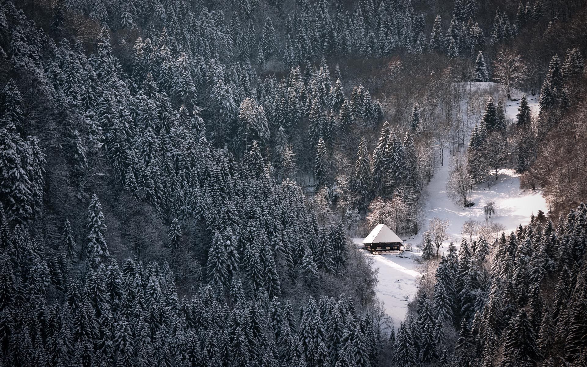 winter,  season , Snow, White, Forest, Houses, Nordic Wallpaper