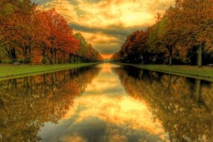 water, Nature, Trees, Autumn