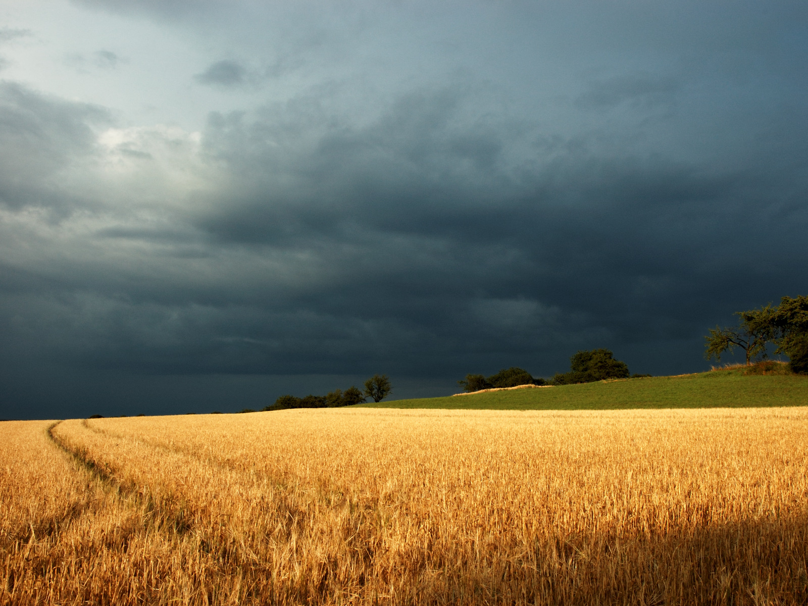 clouds, Landscapes, Nature, Trees, Fields, Overcast, Tire, Tracks, Under, The, Storm Wallpaper
