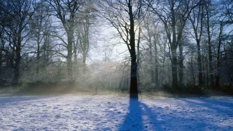 winter, England, Morning, Norfolk HD Wallpaper Desktop Background