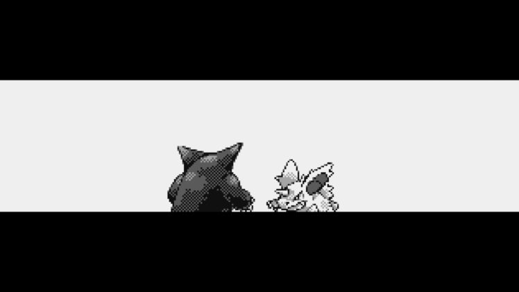 pokemon, Gengar, Nidora HD Wallpaper Desktop Background