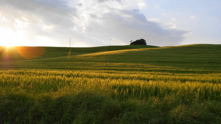 sunset, Landscapes, Nature, Fields, Land HD Wallpaper Desktop Background