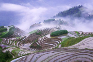 mountains, Clouds, Landscapes, Fields, Mist, Rice, Misery