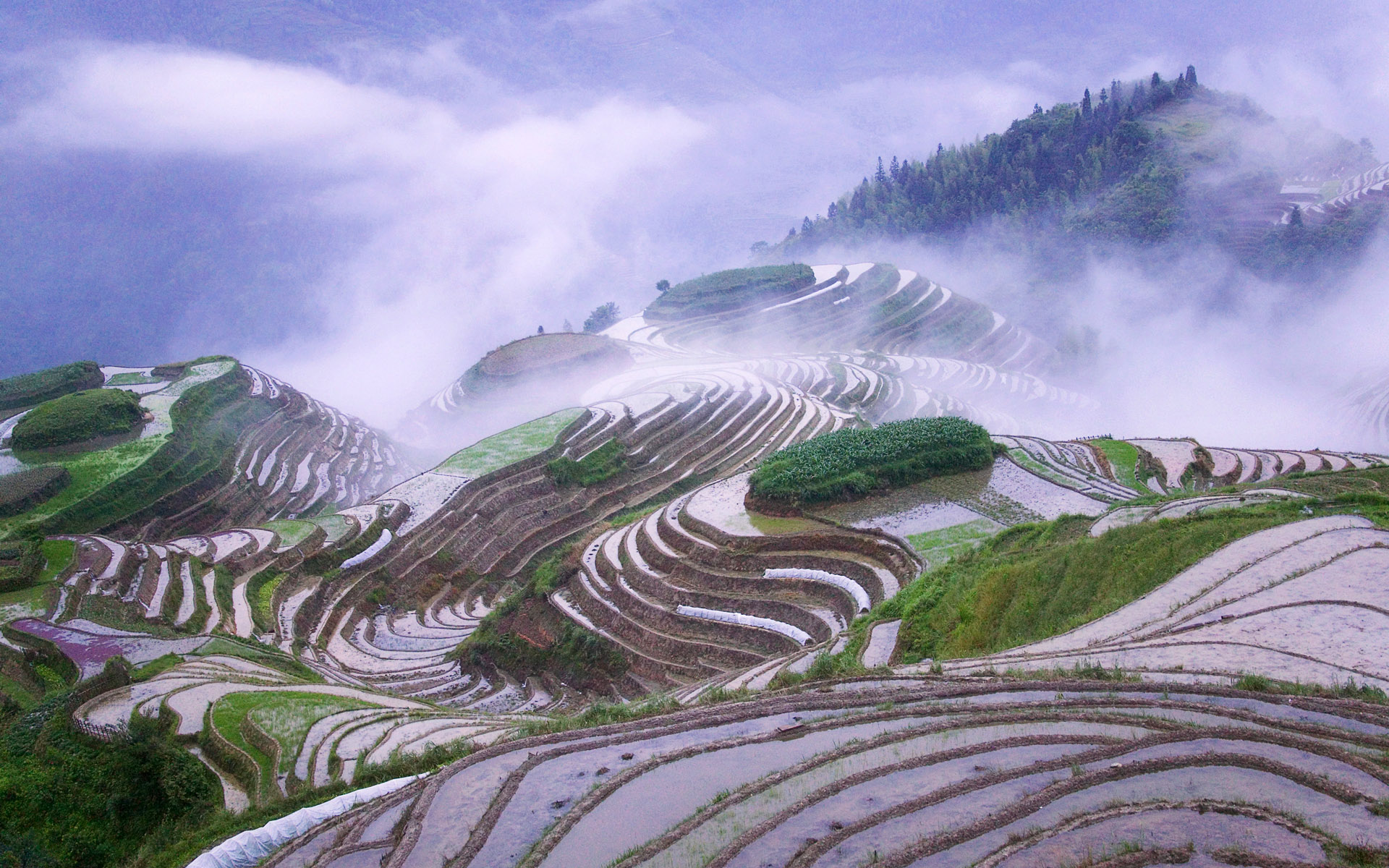 mountains, Clouds, Landscapes, Fields, Mist, Rice, Misery Wallpaper