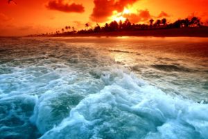 sunset, Ocean, Waves, Palm, Trees, Sea, Beaches