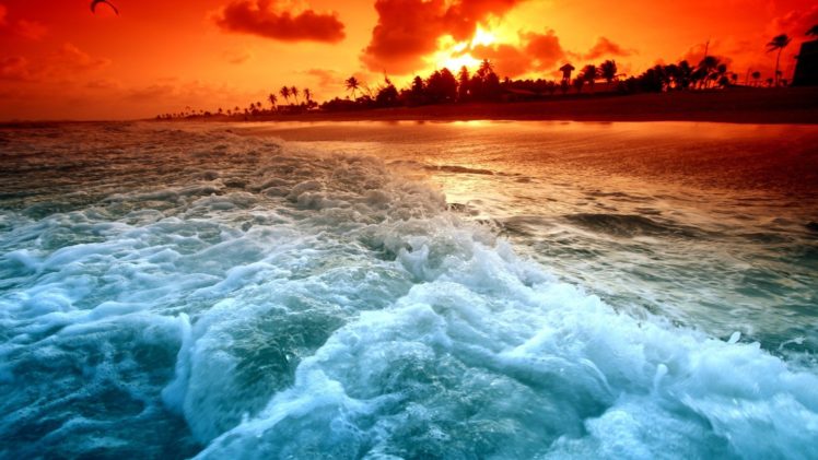 sunset, Ocean, Waves, Palm, Trees, Sea, Beaches HD Wallpaper Desktop Background