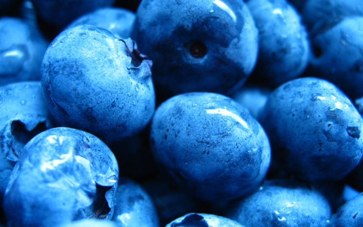 fruits, Macro, Blueberries HD Wallpaper Desktop Background