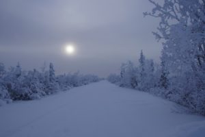 landscapes, Winter, Snow, Trees, Night, Roads