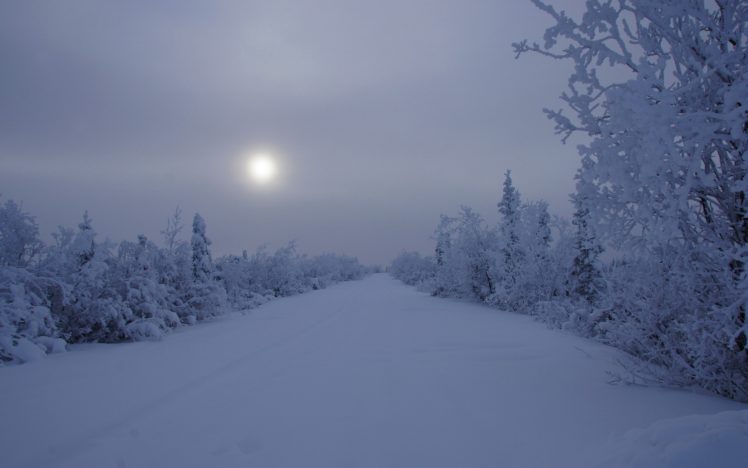 landscapes, Winter, Snow, Trees, Night, Roads HD Wallpaper Desktop Background