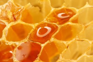 honey, Macro, Honeycomb