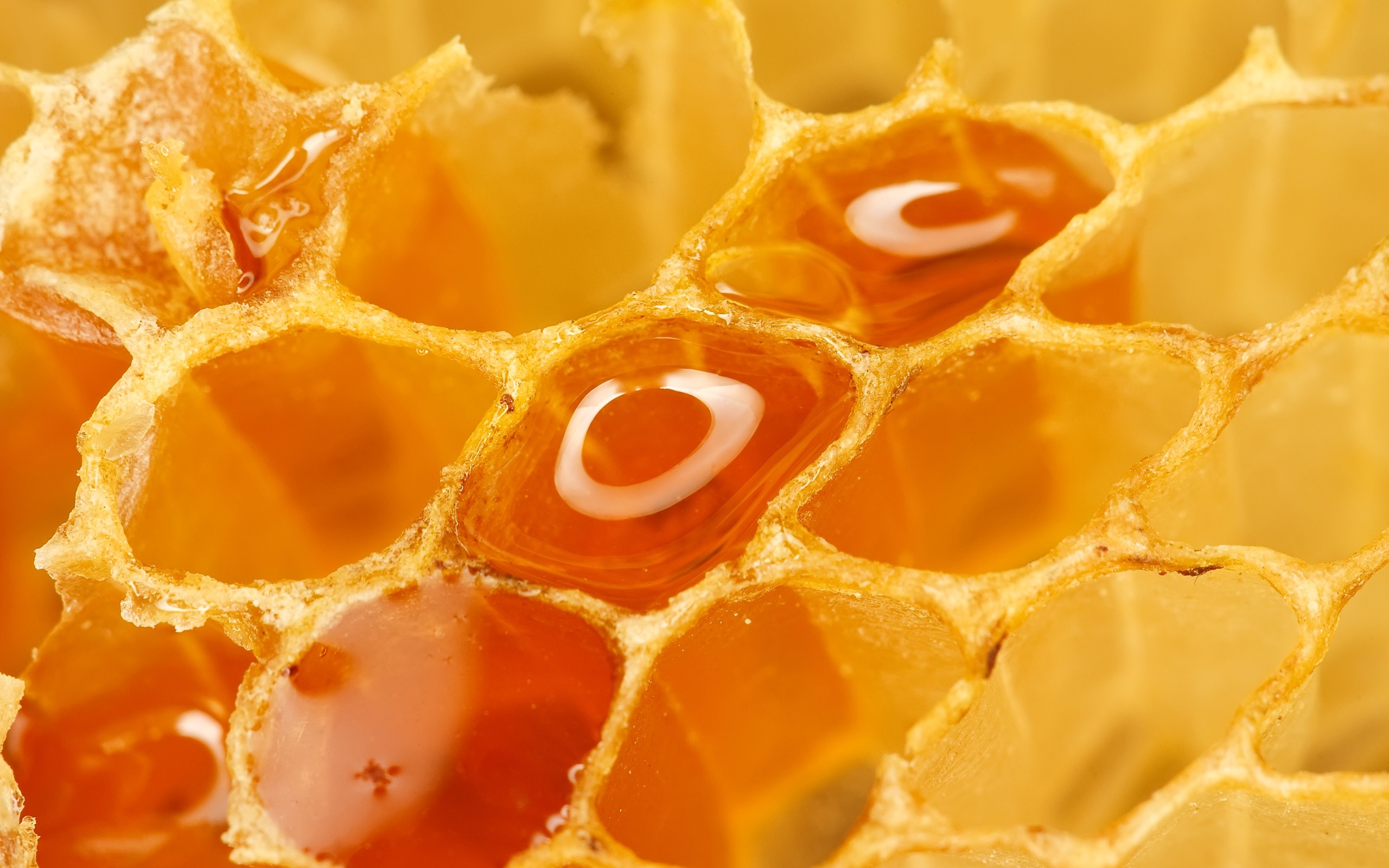 honey, Macro, Honeycomb Wallpaper
