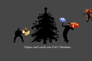 ninjas, Cant, Catch, You, If, Christmas