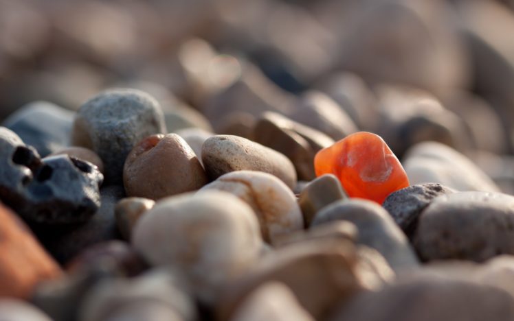 nature, Stones, Macro, Pebbles, Depth, Of, Field HD Wallpaper Desktop Background