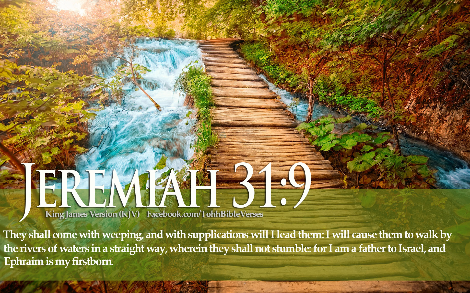 bible verses, Religion, Quote, Text, Poster, Bible, Verses Wallpaper