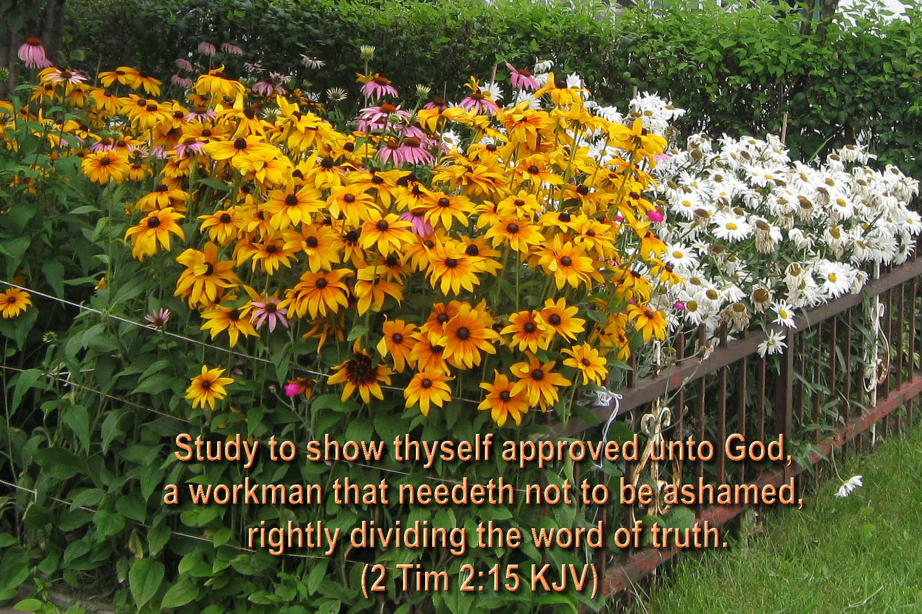 bible verses, Religion, Quote, Text, Poster, Bible, Verses, Fq Wallpaper