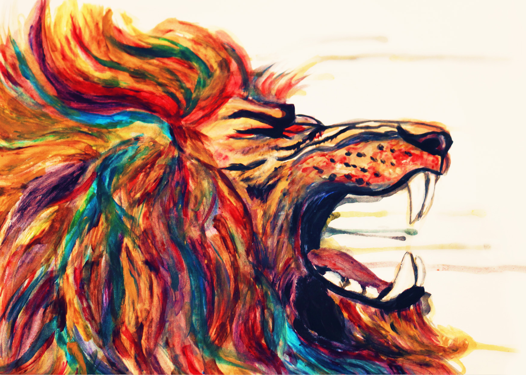 lion, Cat, Predator Wallpaper