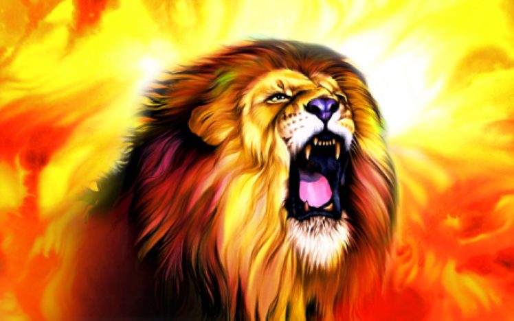lion, Cat, Predator, Rh HD Wallpaper Desktop Background