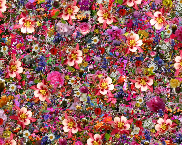 psychedelic, Flower HD Wallpaper Desktop Background