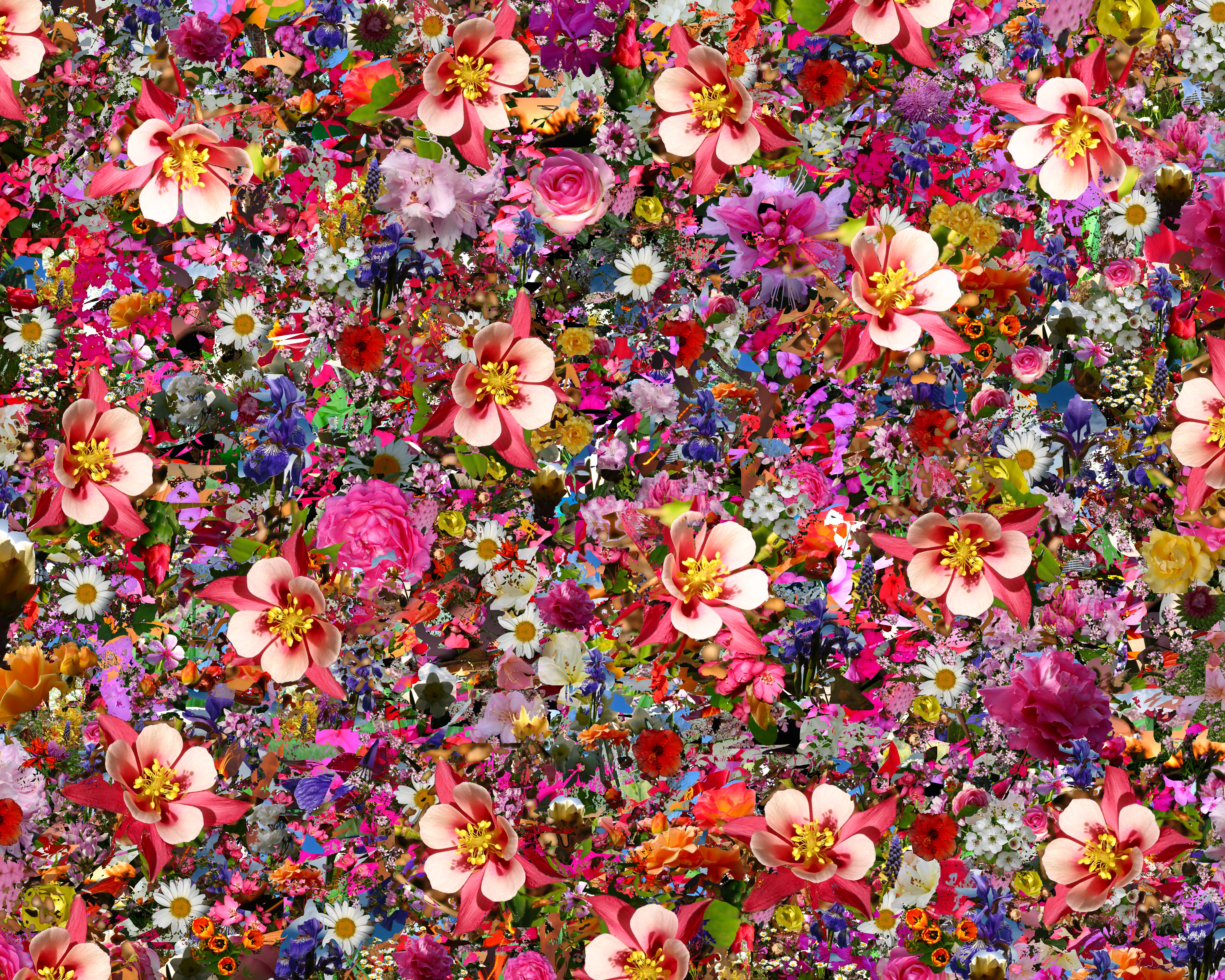 psychedelic, Flower Wallpaper