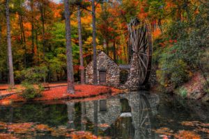autumn, Trees, Mill, Walk, Park, Alley, Water, Mill, Forest, Leaves, Reflection
