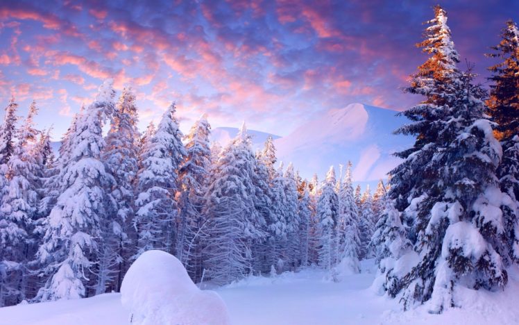 clouds, Winter, Snow, Mountains, Sky, Trees HD Wallpaper Desktop Background