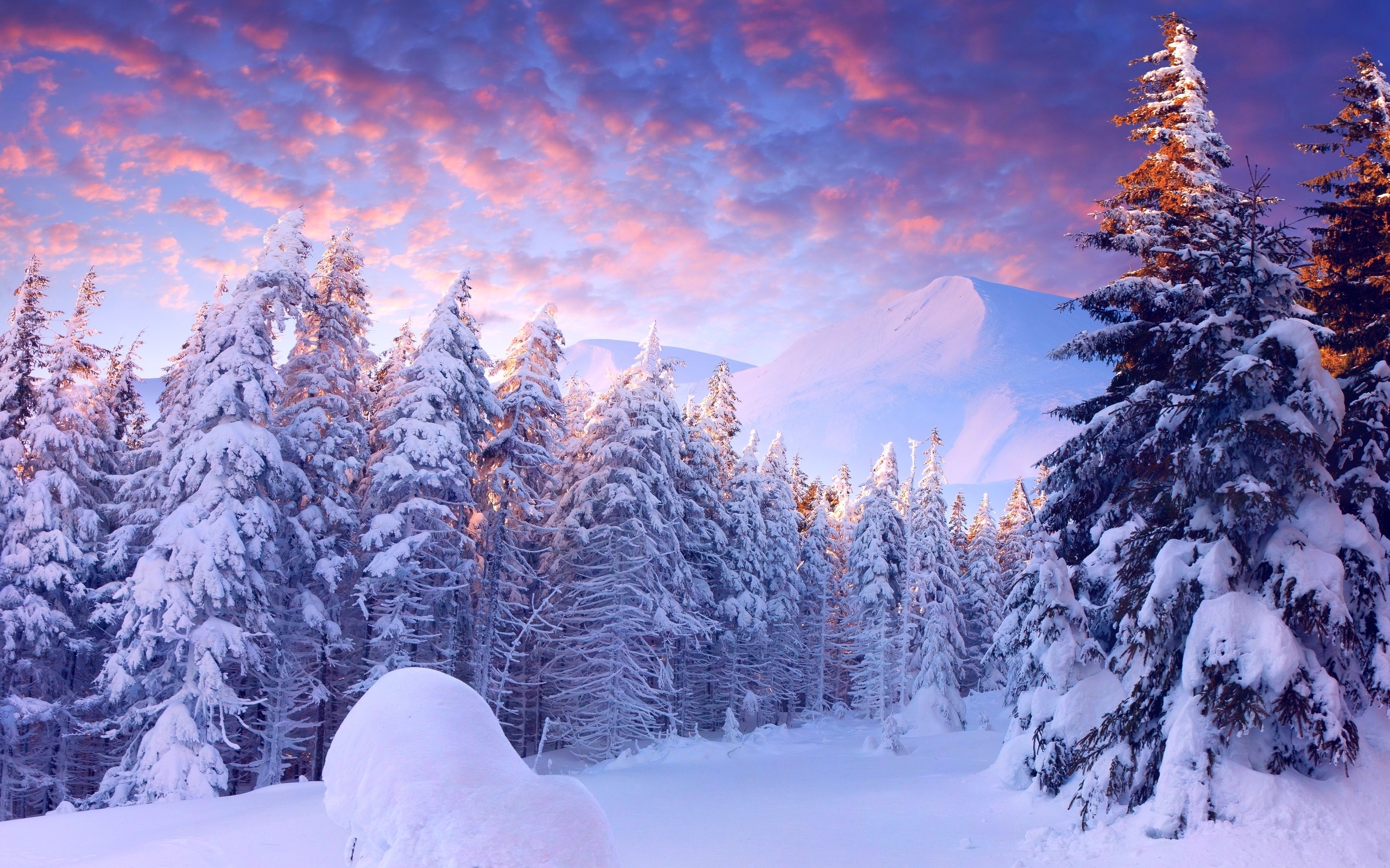 clouds, Winter, Snow, Mountains, Sky, Trees Wallpaper