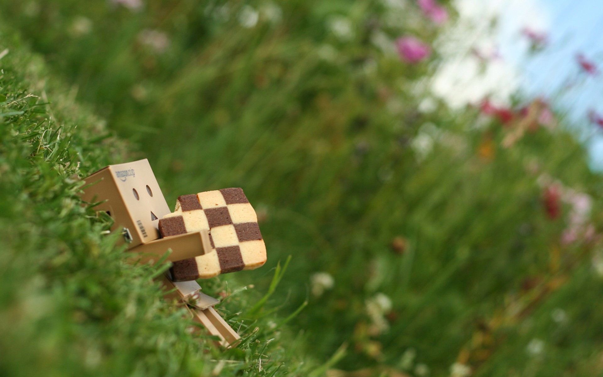 grass, Danboard, Depth, Of, Field Wallpaper