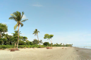 kuakata, Sea, Beach