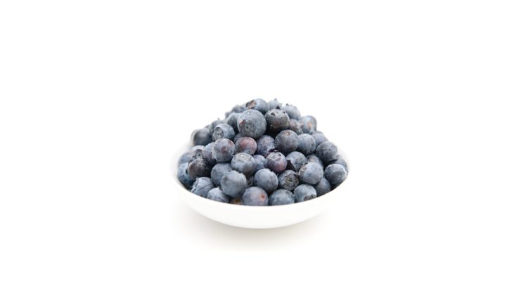 white, Background, Blueberry, Cactus, Fruit HD Wallpaper Desktop Background