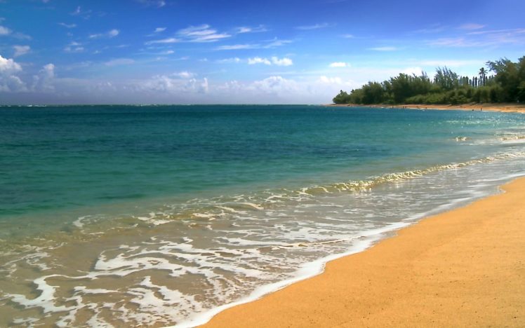 landscapes, Nature, Hawaii, Five, Cities, Beaches HD Wallpaper Desktop Background