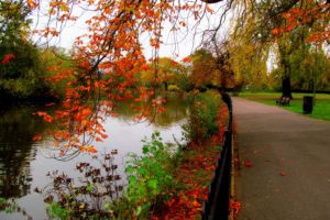 autumn, Nature, Trees, Walk, River, Park, Hdr, Leaves, Alley, Forest