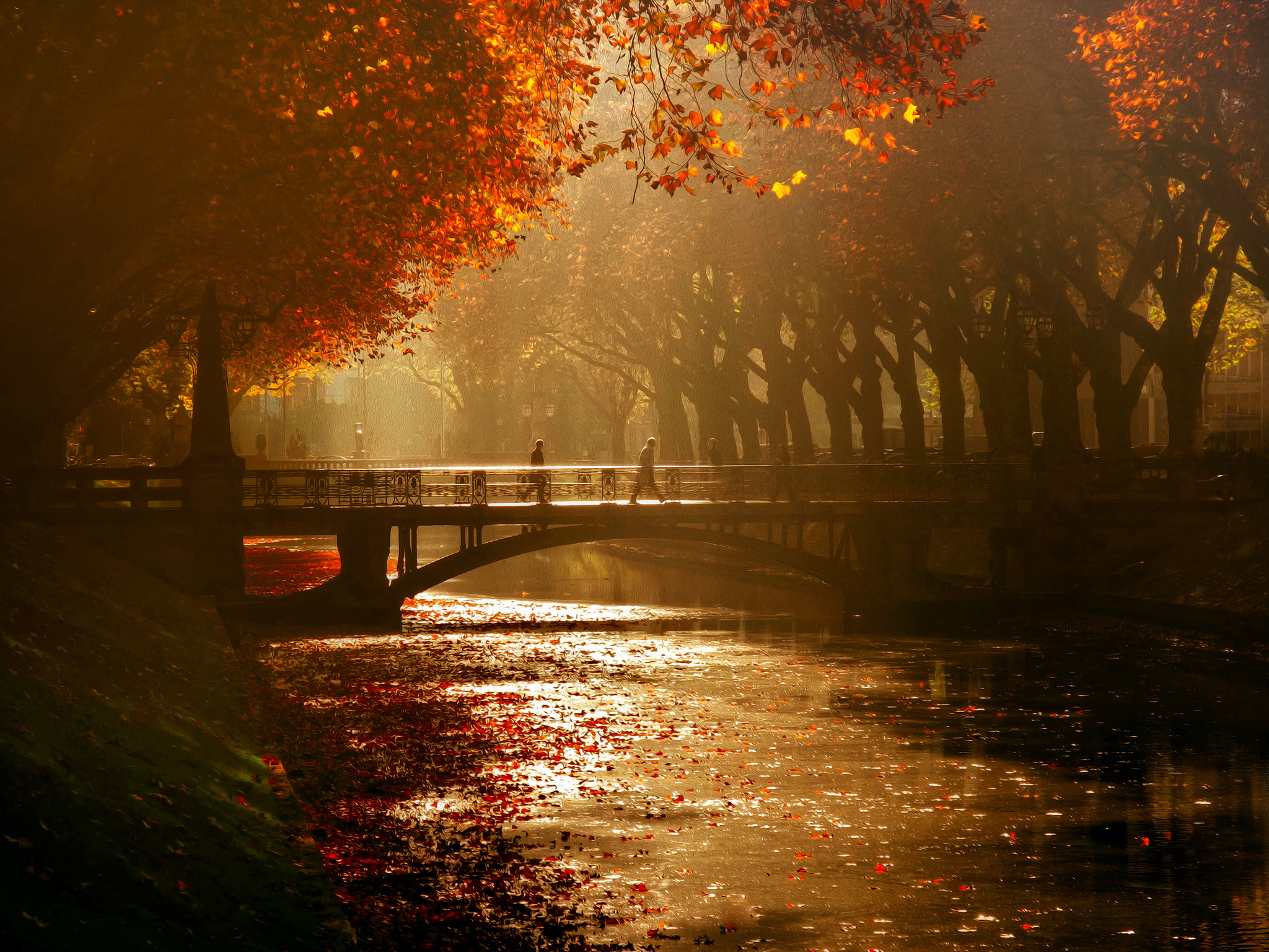 dusseldorf, Royal, Avenue, Bridge, Canal, Trees, Autumn, Mood Wallpaper