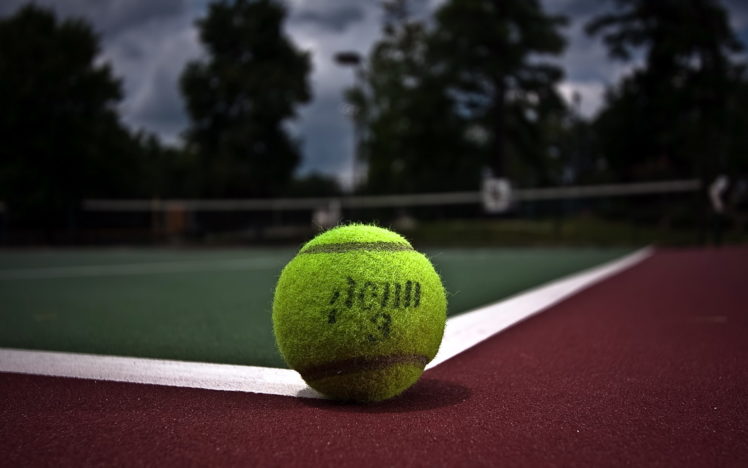 tennis, Ball, Sport HD Wallpaper Desktop Background