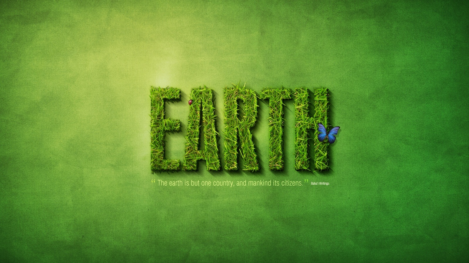 insects, Grass, Earth, Typography, Butterflies Wallpaper