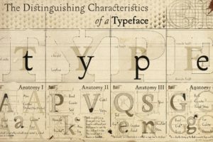 anatomy, Typography, Font, Alphabet, Drawings, Diagram, Typefaces
