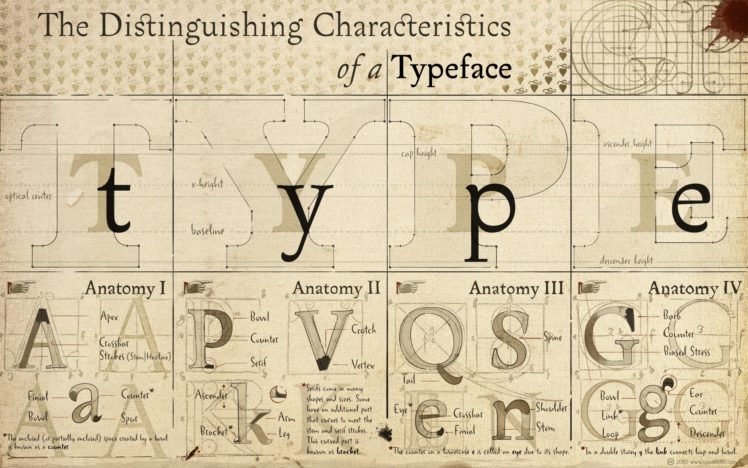 anatomy, Typography, Font, Alphabet, Drawings, Diagram, Typefaces HD Wallpaper Desktop Background