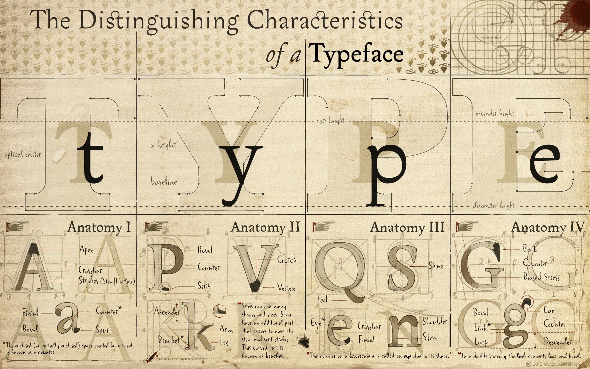 anatomy, Typography, Font, Alphabet, Drawings, Diagram, Typefaces Wallpaper