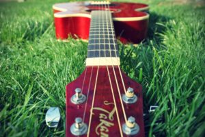 music, Grass, Guitars